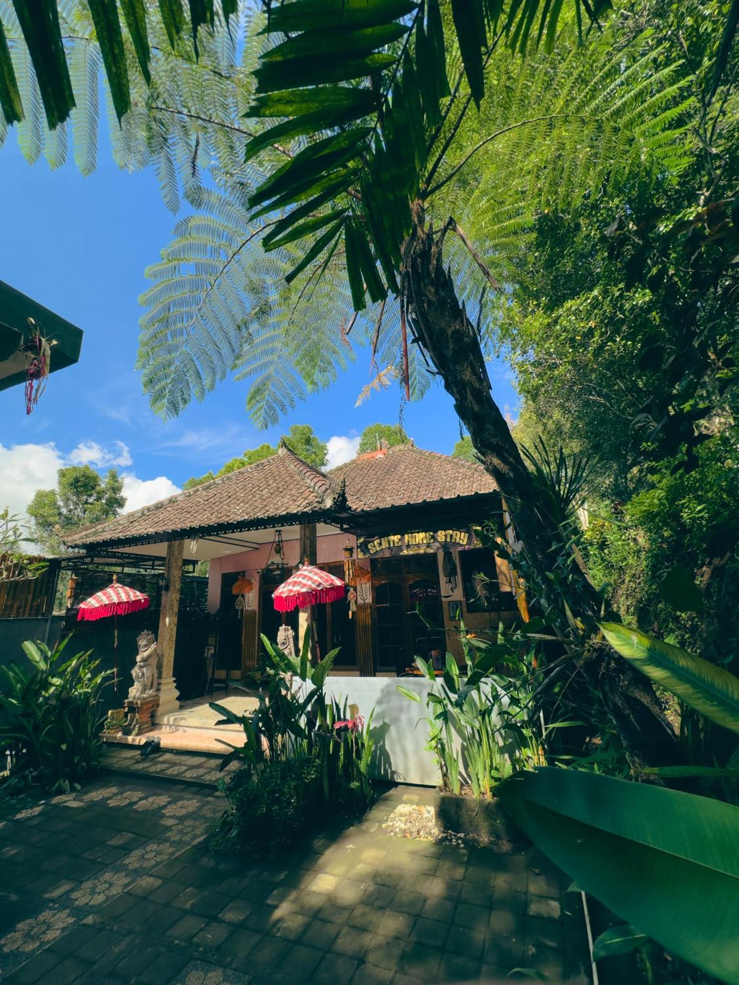 Homestay Sente Munduk Exterior foto
